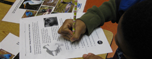 Image for lesson The Hudson River K-12 Unit of Study