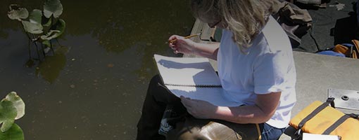 Image for lesson Score One for the Estuary