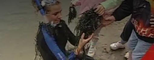 Screenshot of video Let's Learn About Estuary Plants