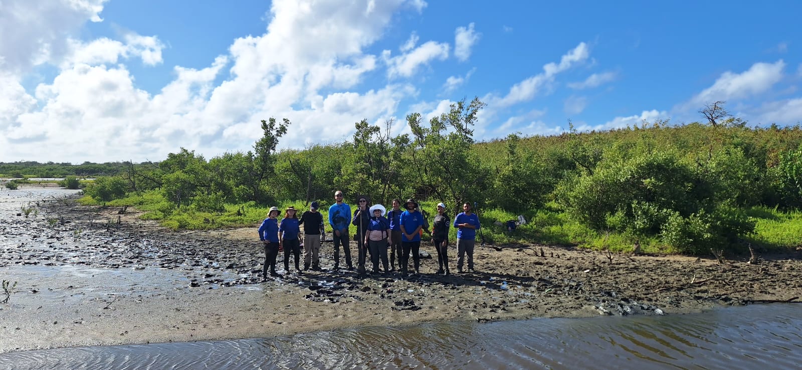 A group of people pose in the mudflats in front of a stretch of vegetation.