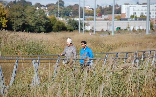 Two people walk across a bridge over vegetation.